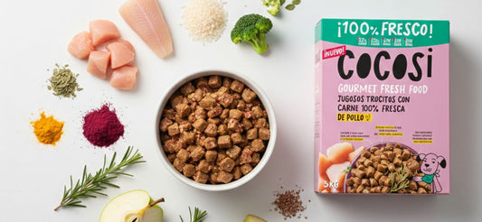 Comida semihúmeda para perros: qué es, beneficios y diferencias con el pienso seco