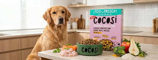 Alimentos antiinflamatorios para perros: qué son, cuáles elegir y cómo darlos sin liarla