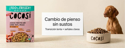 Cómo cambiar de pienso a un perro con estómago sensible