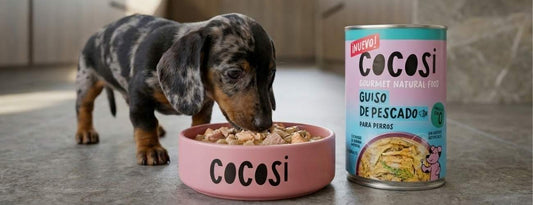 ¿Es bueno el pescado para los perros? (Guía práctica y segura)