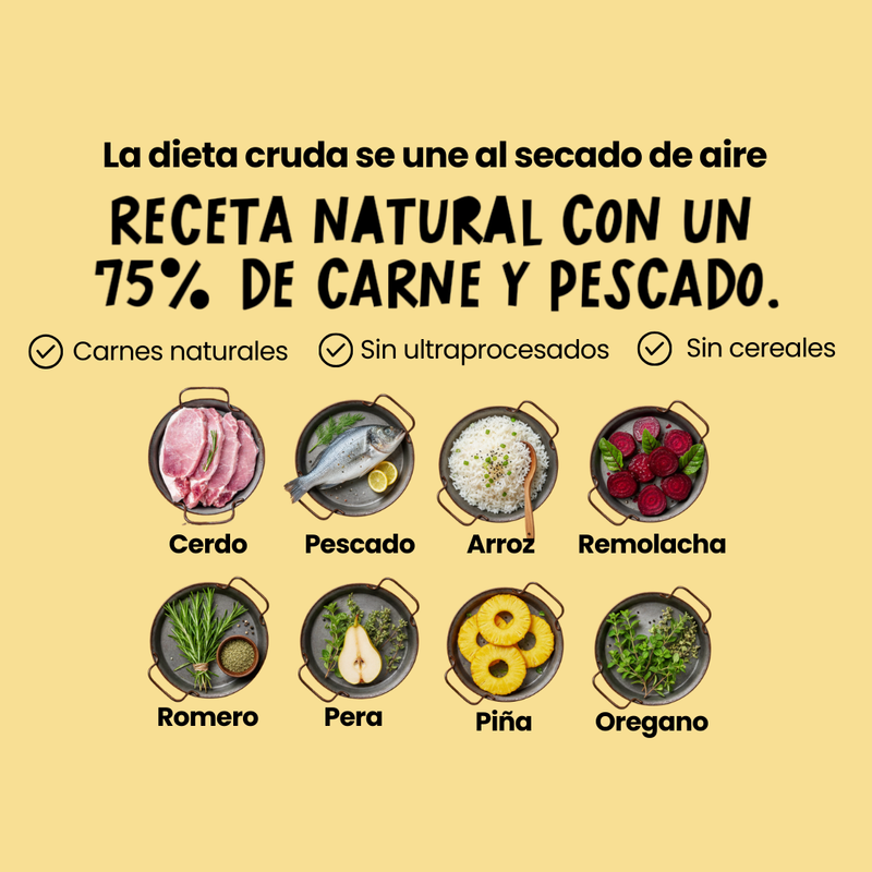 Comida fresca natural para perros sabor pollo