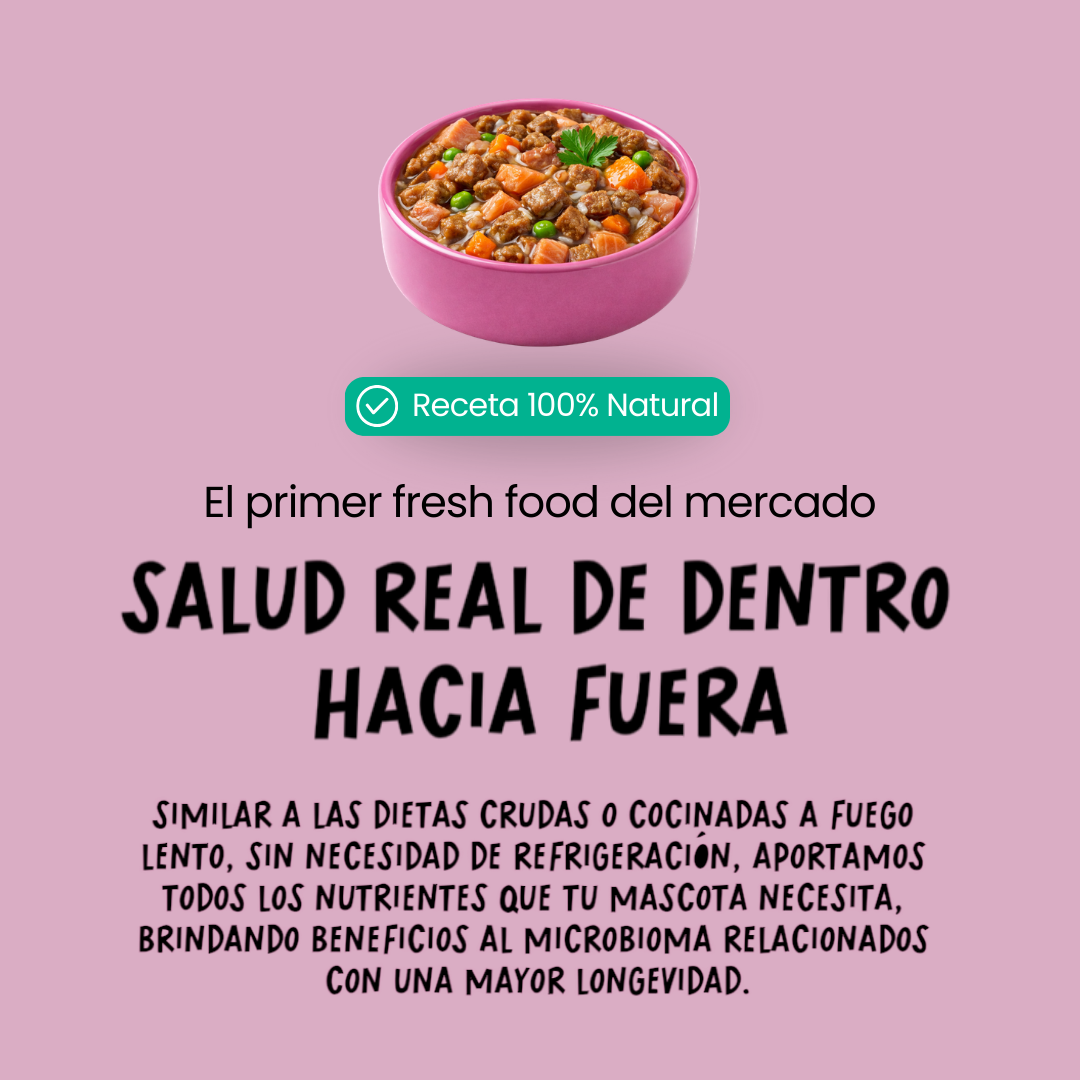 Comida fresca natural para perros sabor cerdo