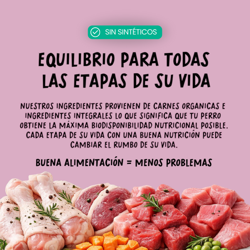 Comida fresca natural para perros sabor cerdo