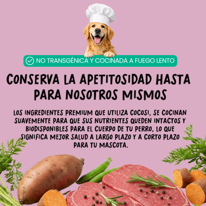 Comida fresca natural para perros sabor cerdo