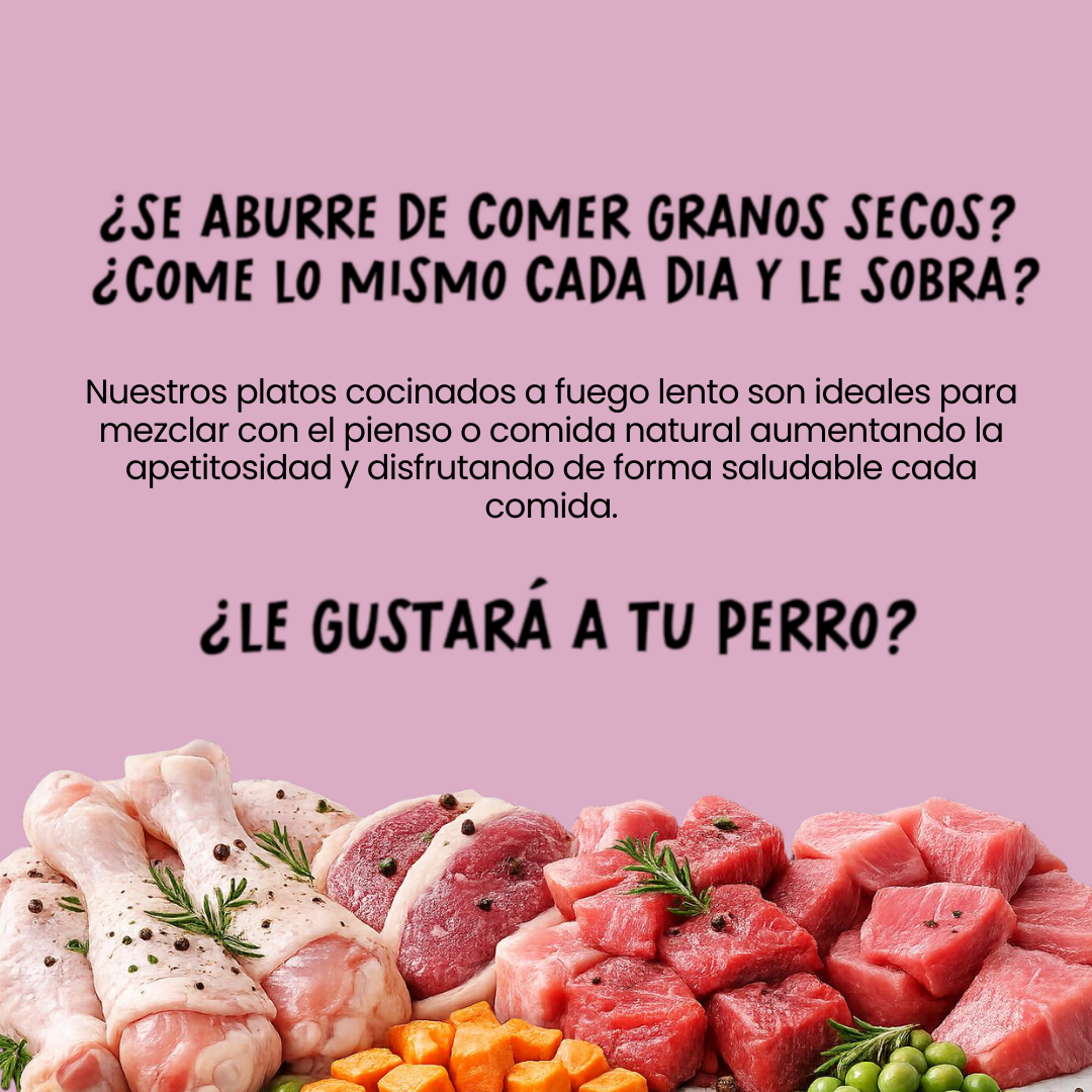 Albóndigas en salsa para perro sabor pollo