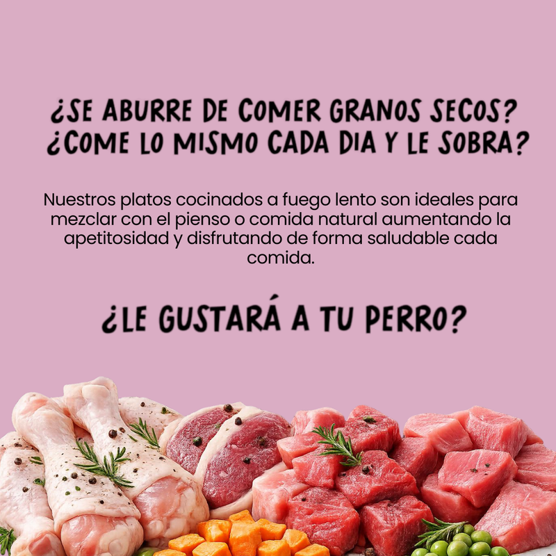 Albóndigas en salsa para perro sabor pollo